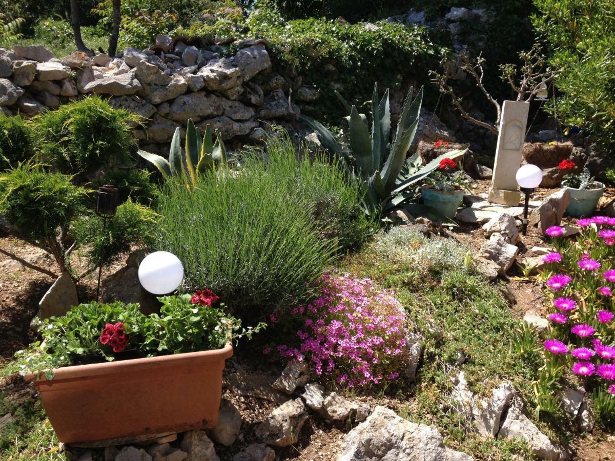 Charming Dalmatian Apartment With Panoramic View Tkon Exteriér fotografie